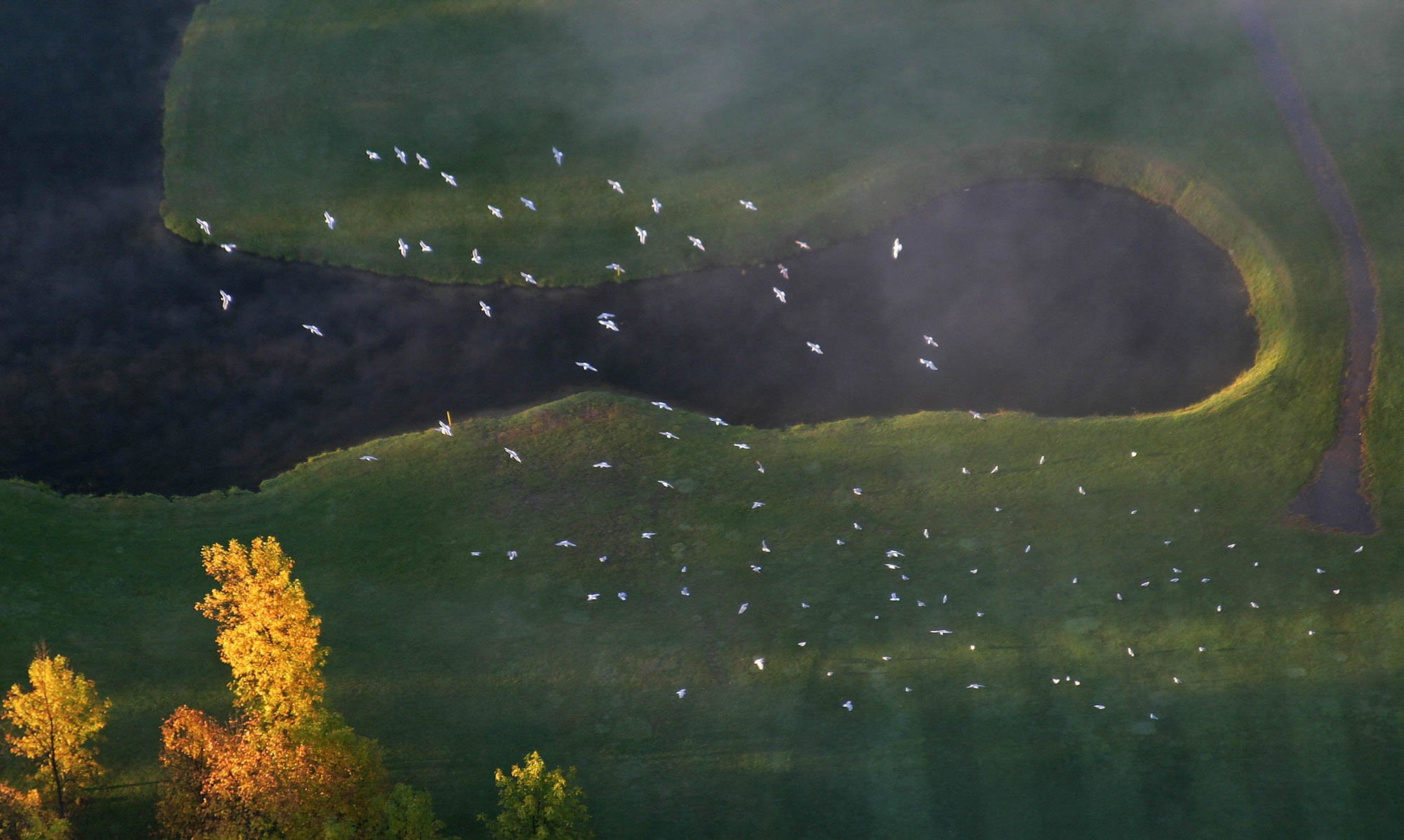 shoppingcart-thumb-image