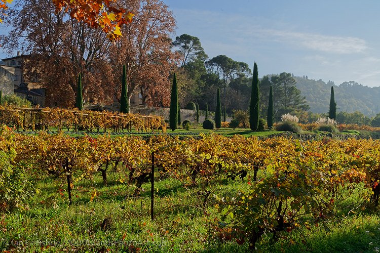 France DSC04324 DxO