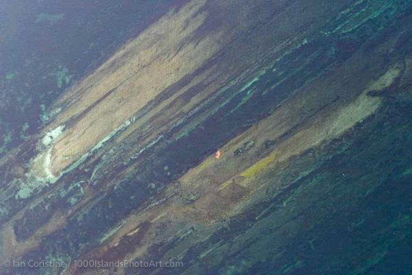 OCC Exhibition WWS p 79 DxO