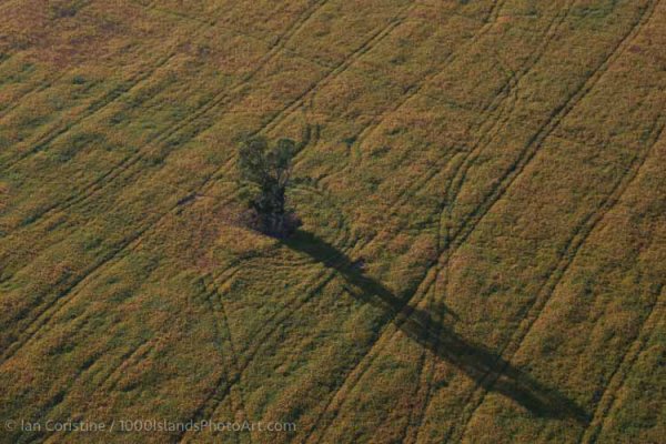 Wolfe Island & Area IMG 6541 DxO