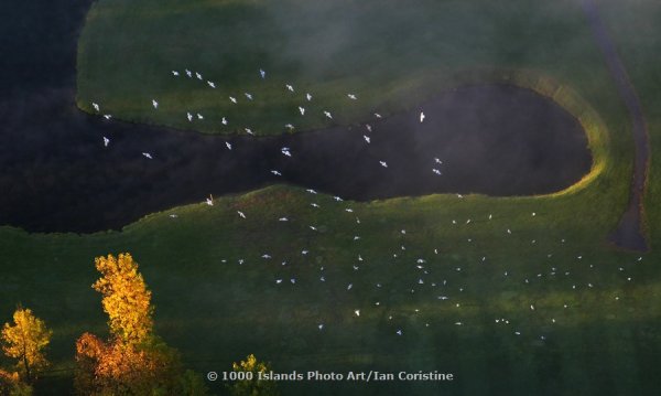 2, Vol.II, Water, Wind and Sky 49 IMG 7607 DxO