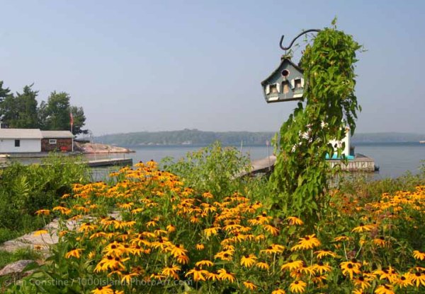 Grenell Island & Area IMG 7964