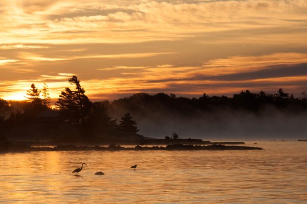 Favorites  MG 5946 16052  Dinner time