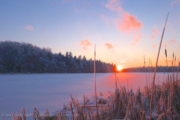 Jones Creek Area DSC01213