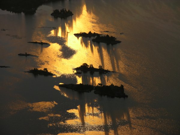 Favorites DSCN1873a 9711 Chippewa Gold