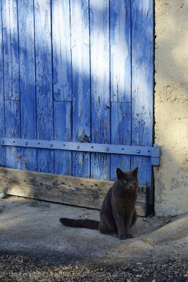 shoppingcart-thumb-image