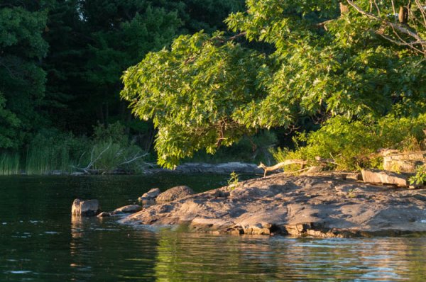 Grenadier Island & Area DSC06142