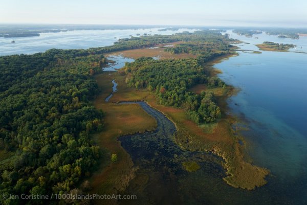 Grenadier Island & Area DSC05805