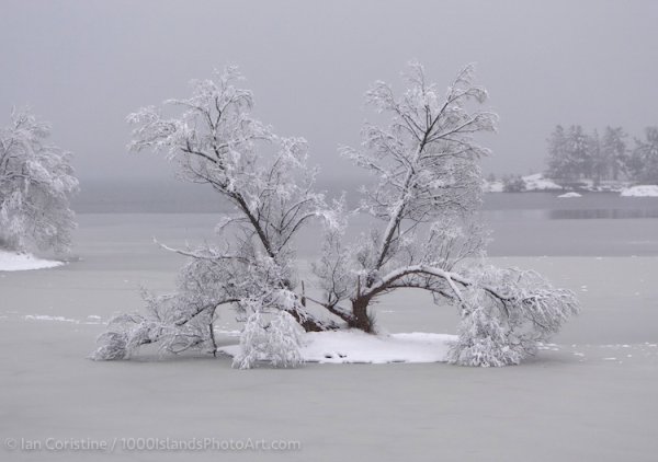 Jones Creek Area DSC00942