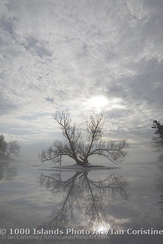 Jones Creek Area  MG 2368 DxO