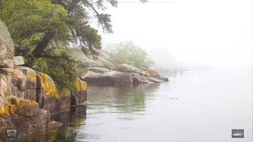 Wallpaper February 2014