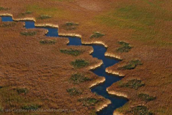 Wolfe Island & Area WWS P 73 DxO